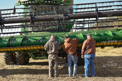Farmers Looking at Bean Head 129007