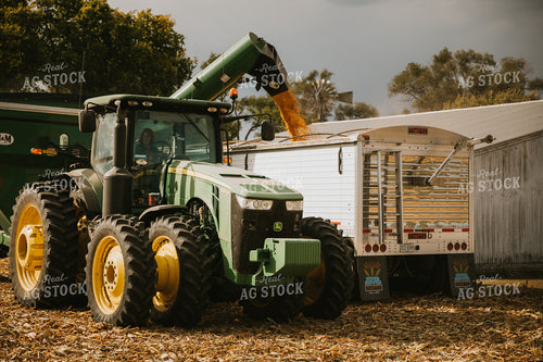 Corn Harvest 6574