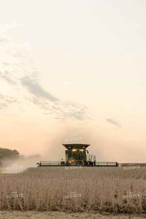 Soybean Harvest 215042