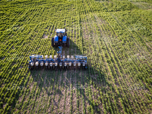 Planting into Cover Crop 268317
