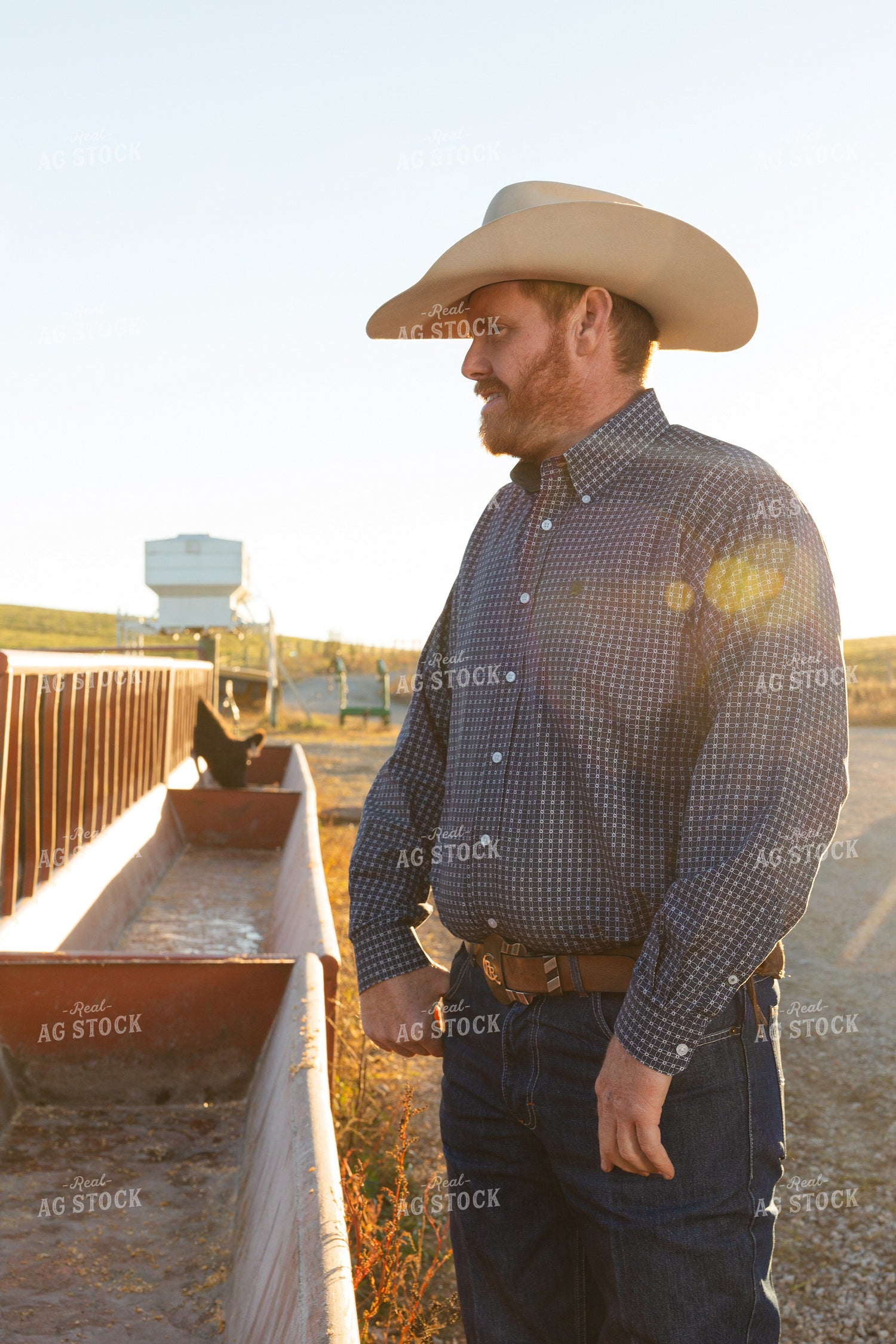 Rancher 52793