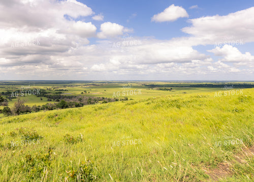 Scenic Pasture 264021