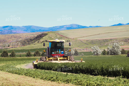 Cutting Hay 83000