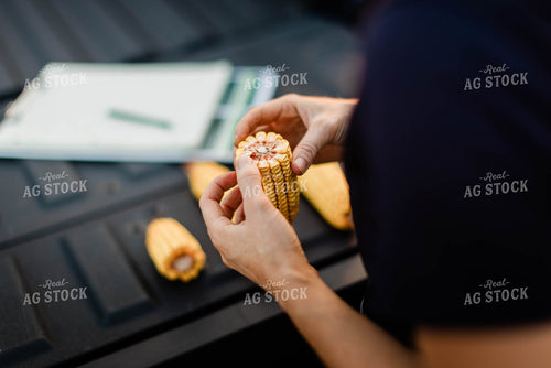 Female Agronomist Checking Corn 8349