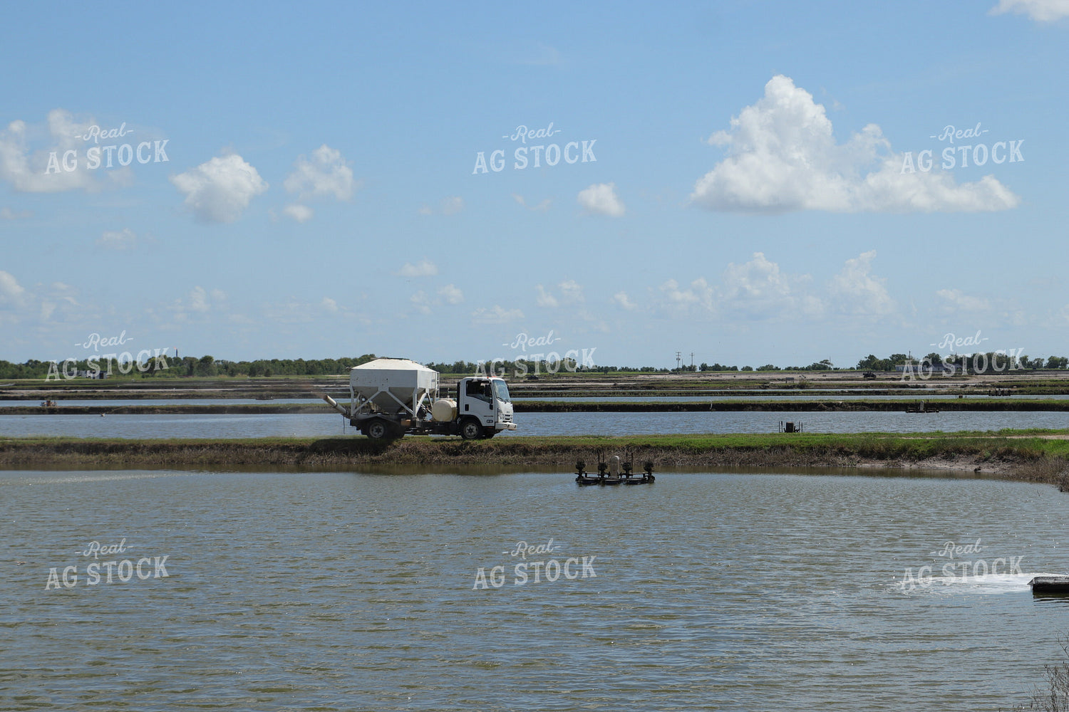 Shrimp Ponds 102176