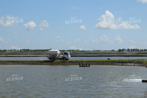 Shrimp Ponds 102176