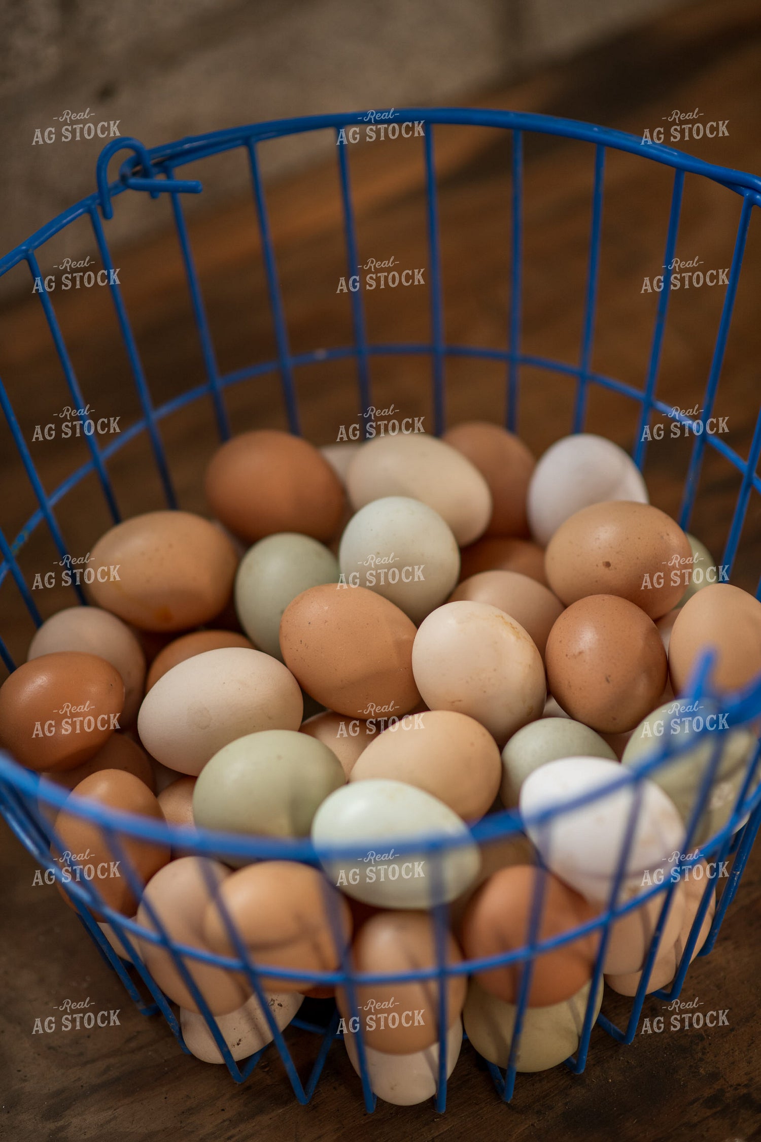 Eggs 76610