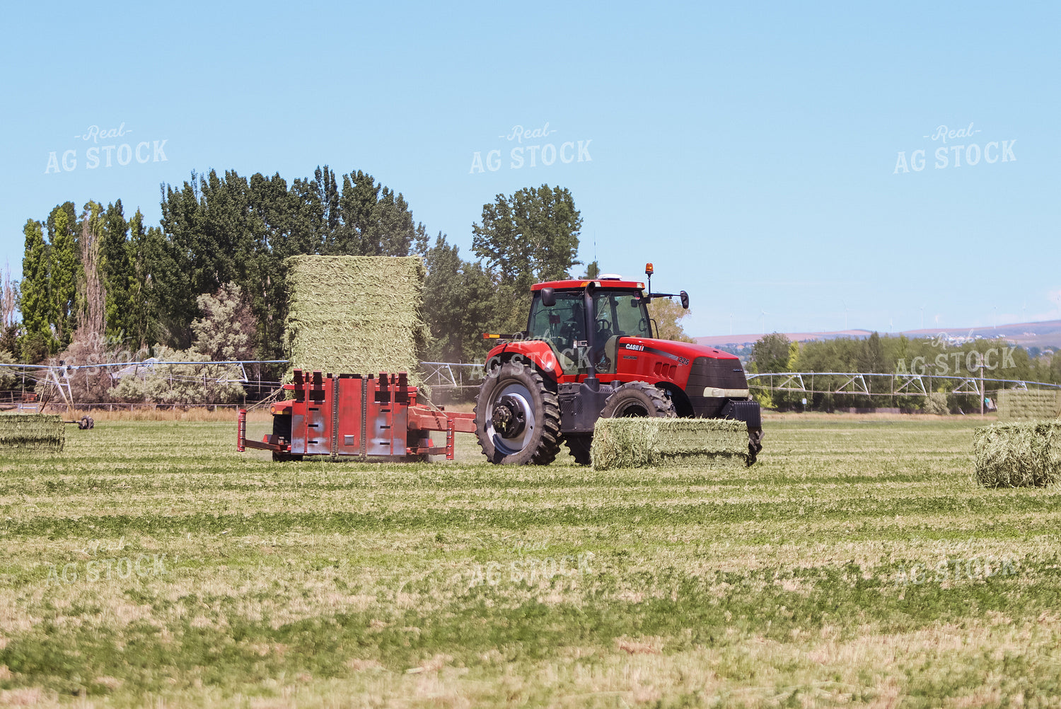 Gathering Square Bales 83034