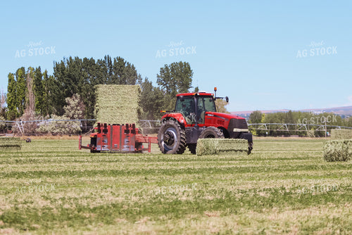 Gathering Square Bales 83034