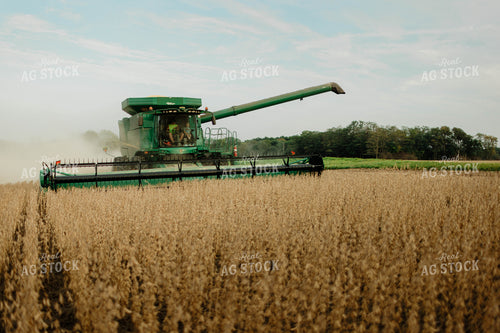 Soybean Harvest 8665