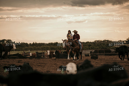 Feedyard 3067