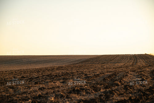 Tilled Ground at Sunrise 25879