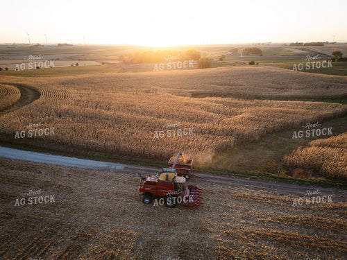 Corn Harvest 67966
