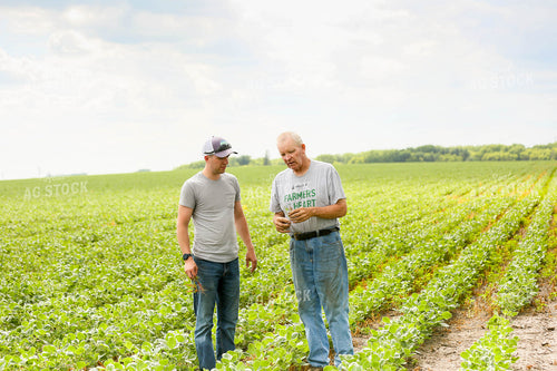 Farmers Checking Growth 161107