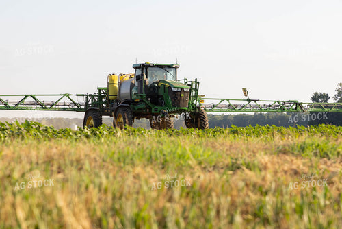 Spraying Cotton 79694