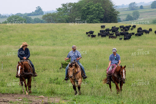 Ranchers on Horseback 214184