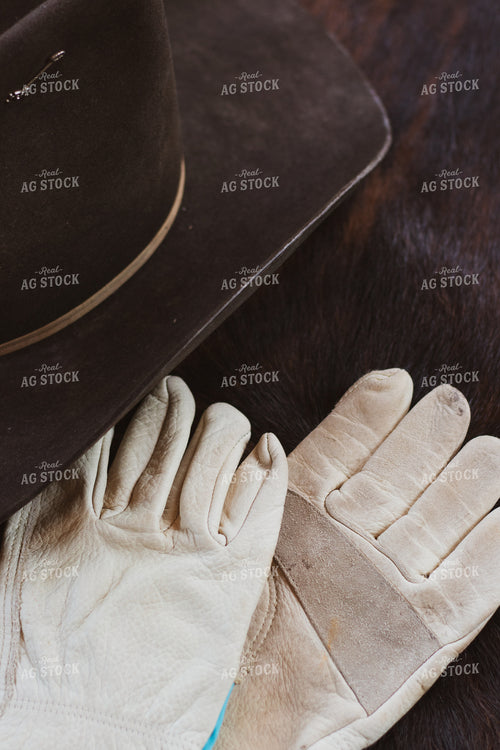 Gloves and Hat 67921