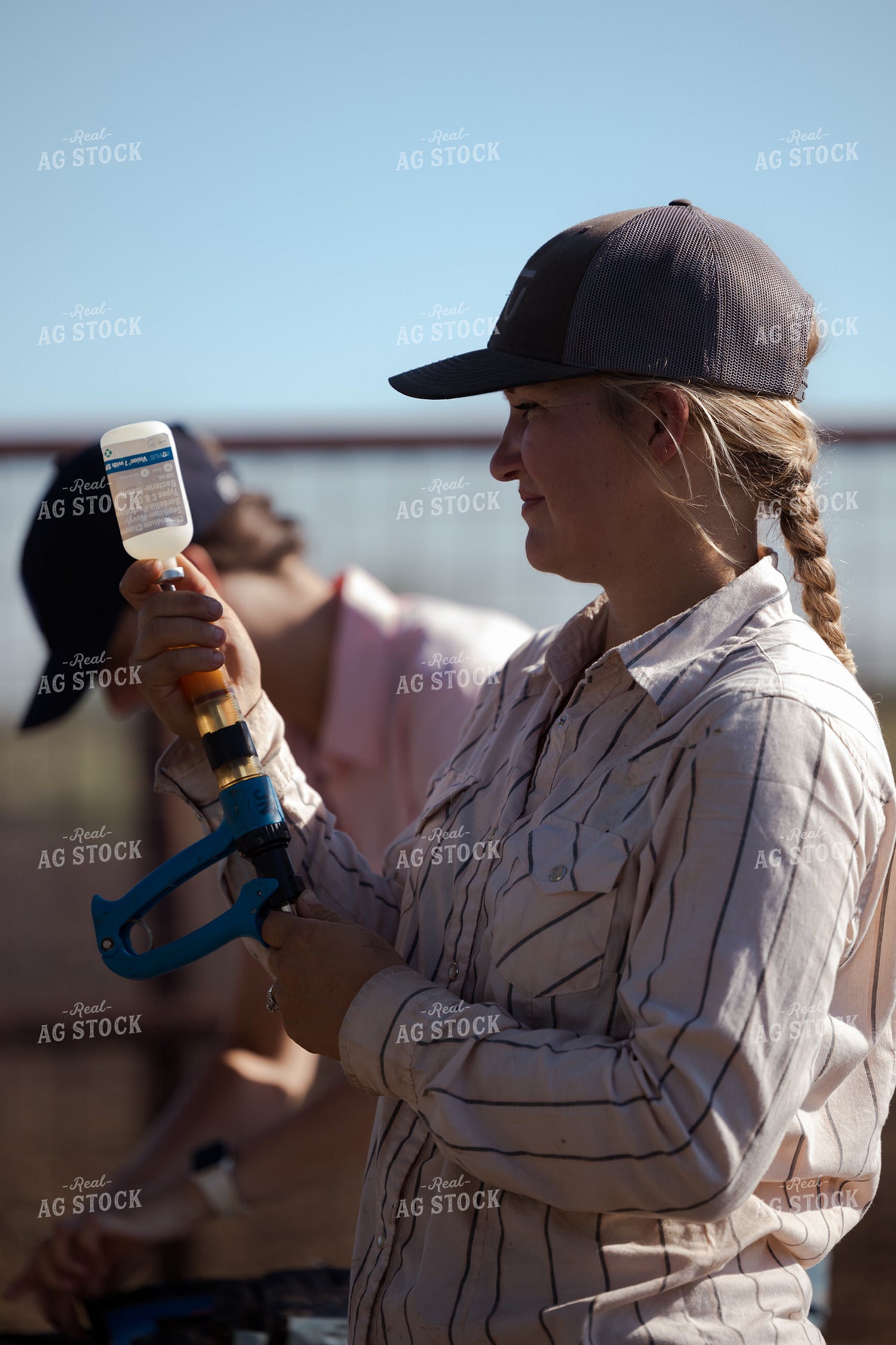 Female Rancher Preparing Cattle Vaccine 205076