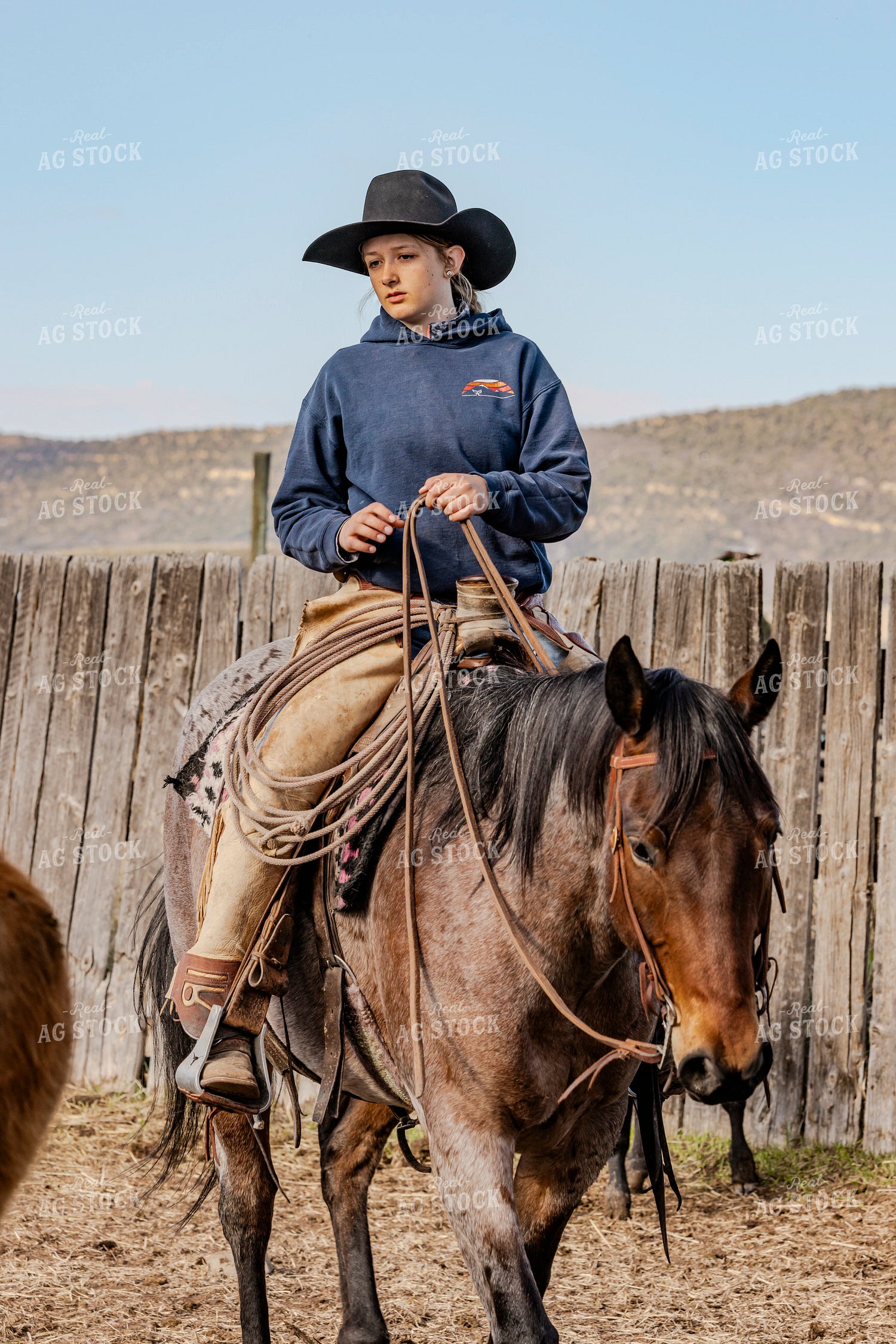 Gathering Cattle on Horseback 200048