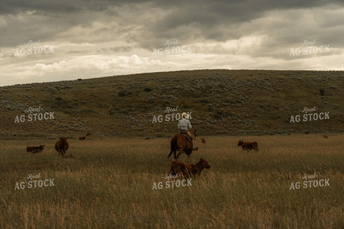 Rancher on Horseback 58286