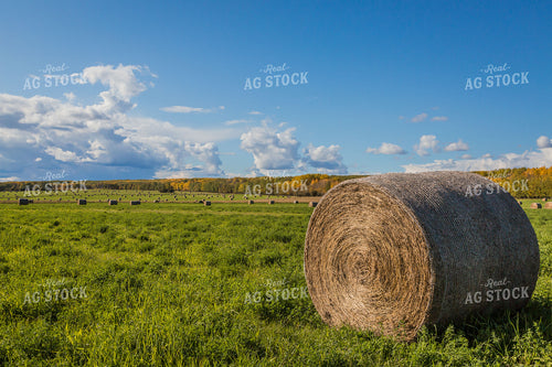 Hay Bales at Sunset 138124
