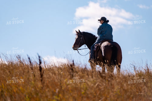 Rancher Herding Cattle on Horseback 163030
