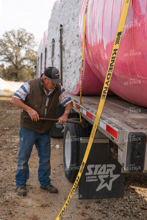 Farmer at Cotton Harvest 128057