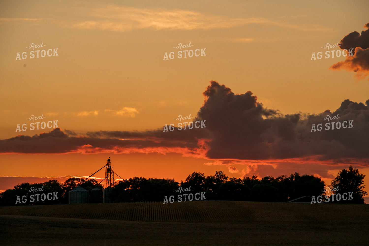 Scenic Sunset 76386