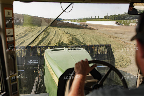 Chopping Corn Silage 152533