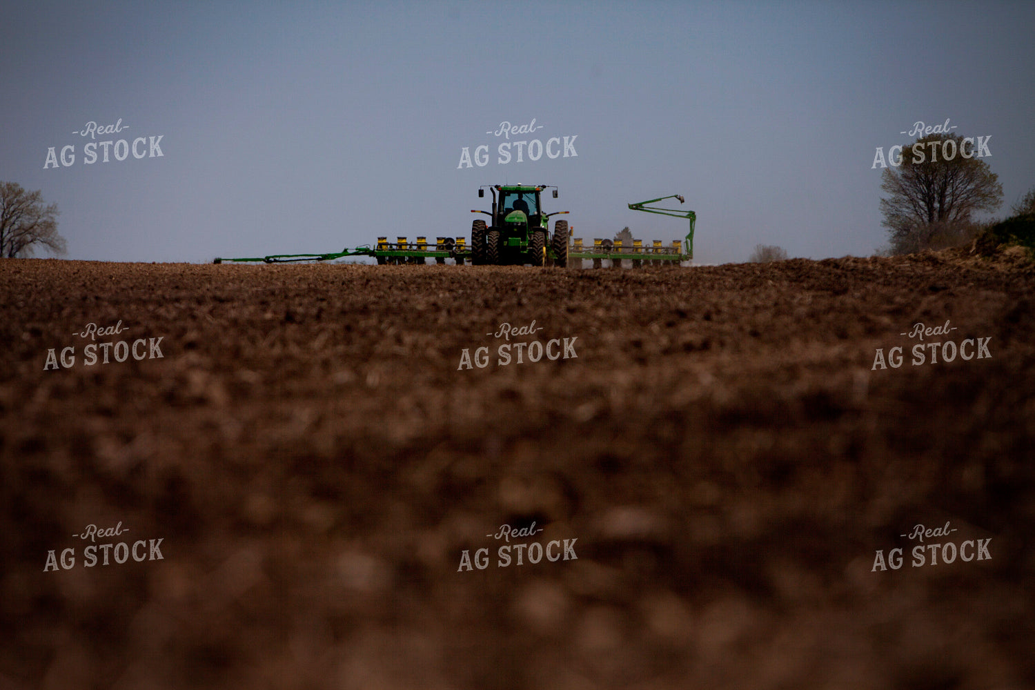 Planting 1984