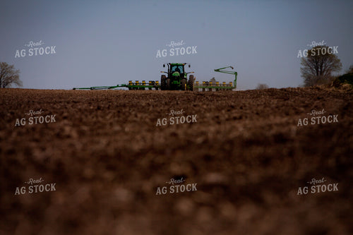 Planting 1984