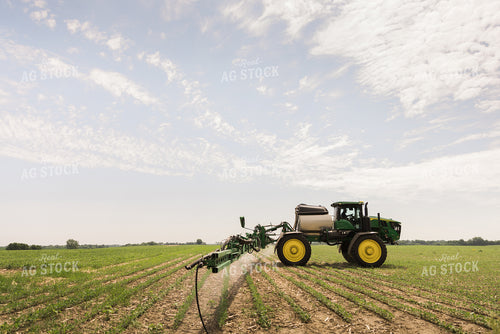 Sprayer Spraying Field 8018