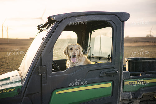 Ranch Dog in UTV 70140