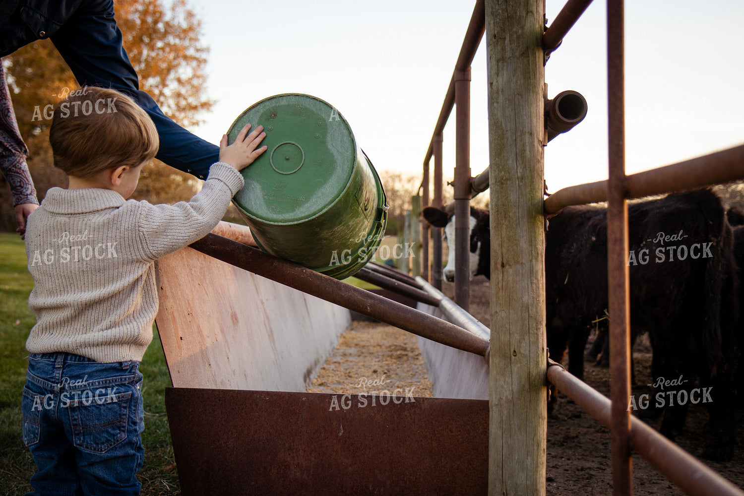 Farmer and Son Doing Chores 268128