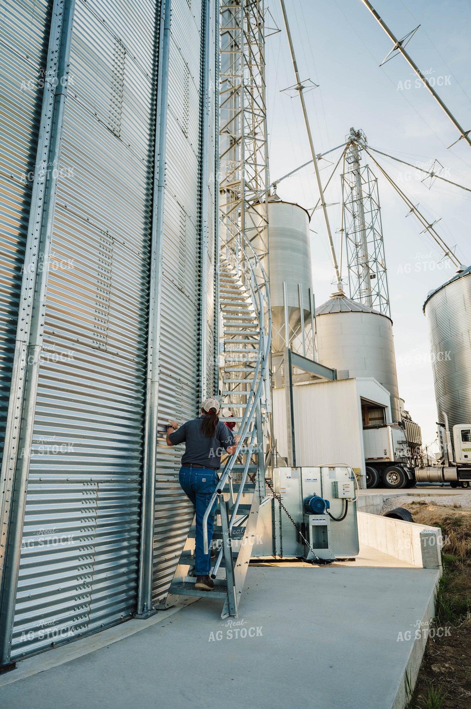 Female Farmer Climbing Grain Bin 115269