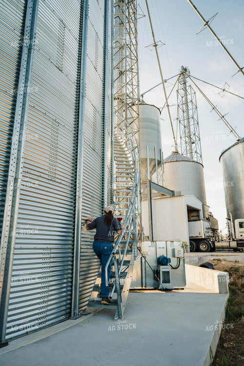 Female Farmer Climbing Grain Bin 115269