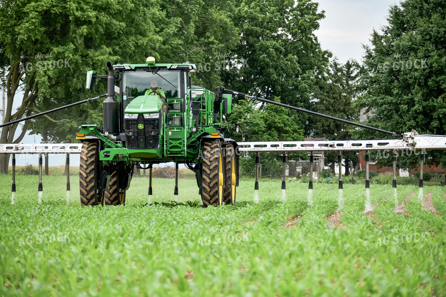 Self-Propelled Sprayer in Cornfield 86048