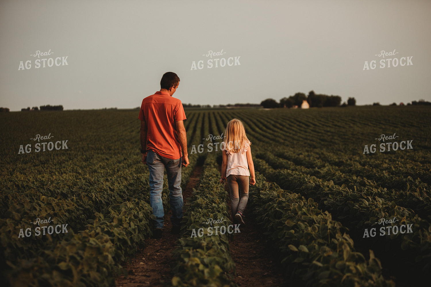 Farmer and Farm Kid Checking Crops in Soybean Field 4579
