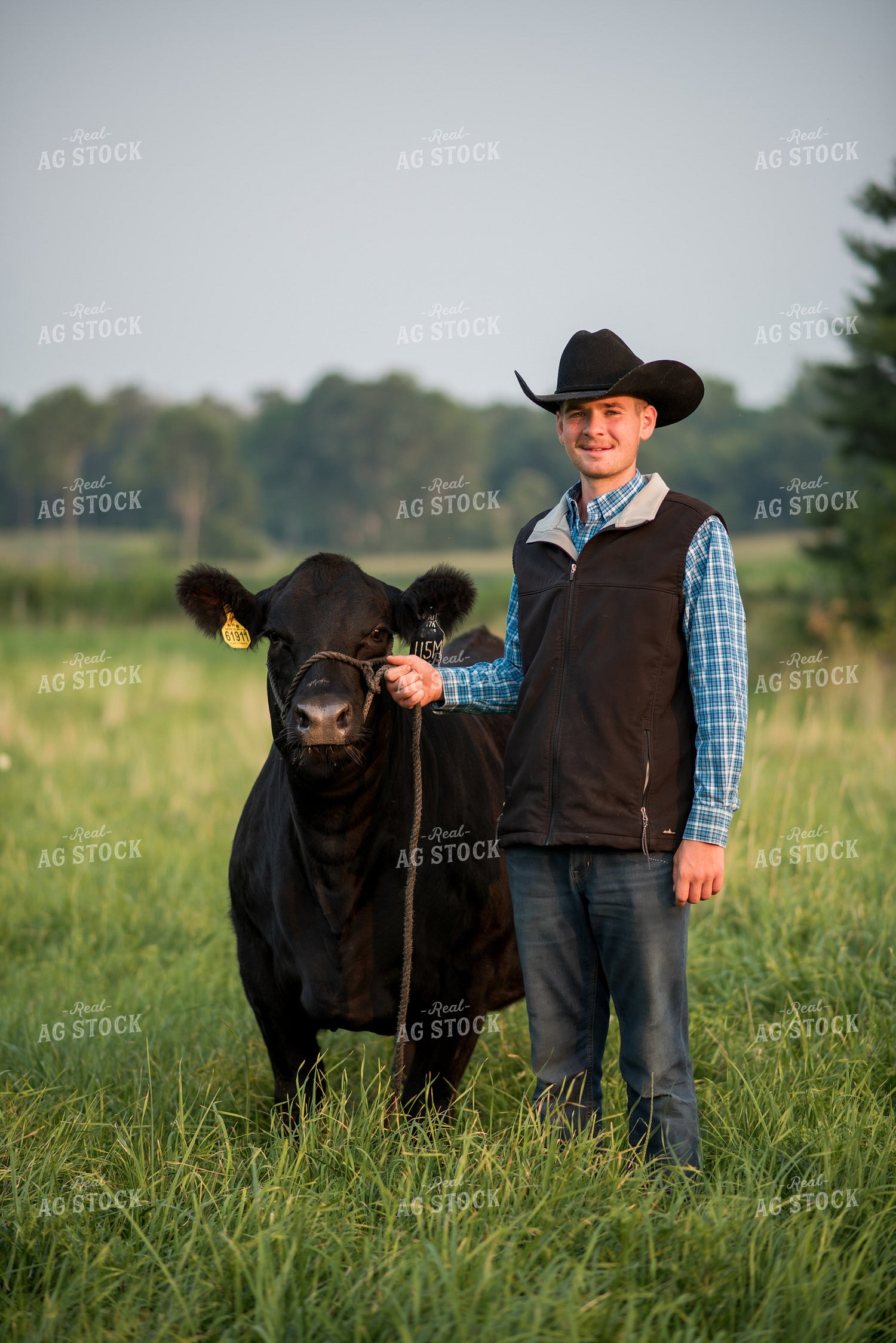 Farm Kid with Show Cow 76727