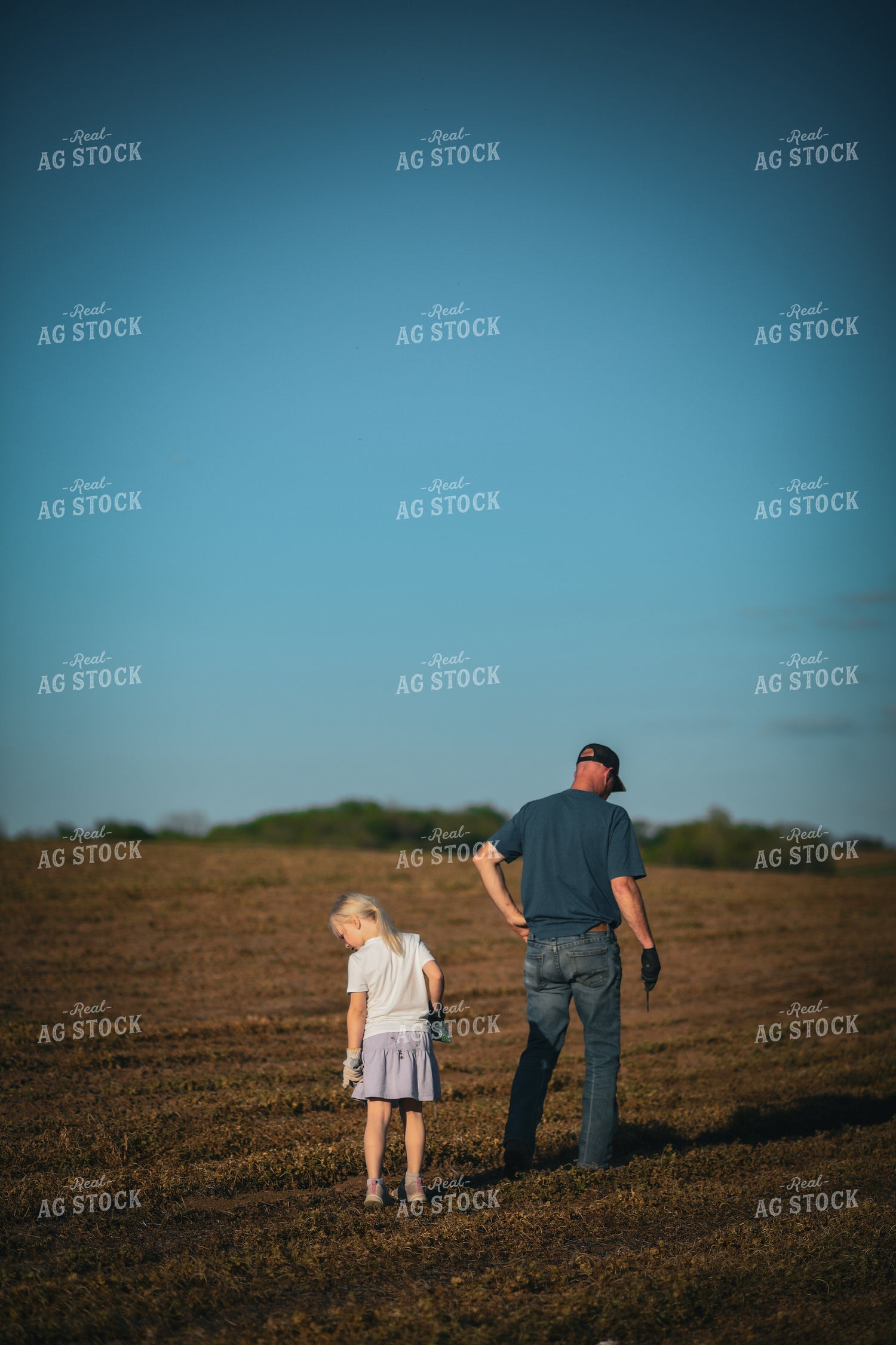 Scouting Emergence with Daughter 191048
