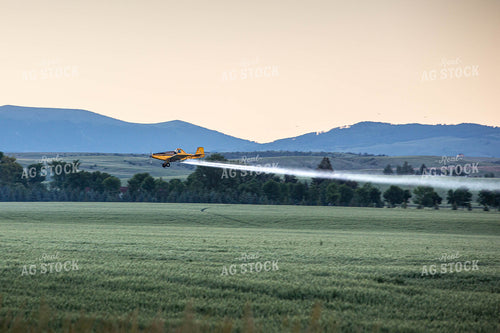 Crop Duster Sprays Growing Field at Sunset 81129