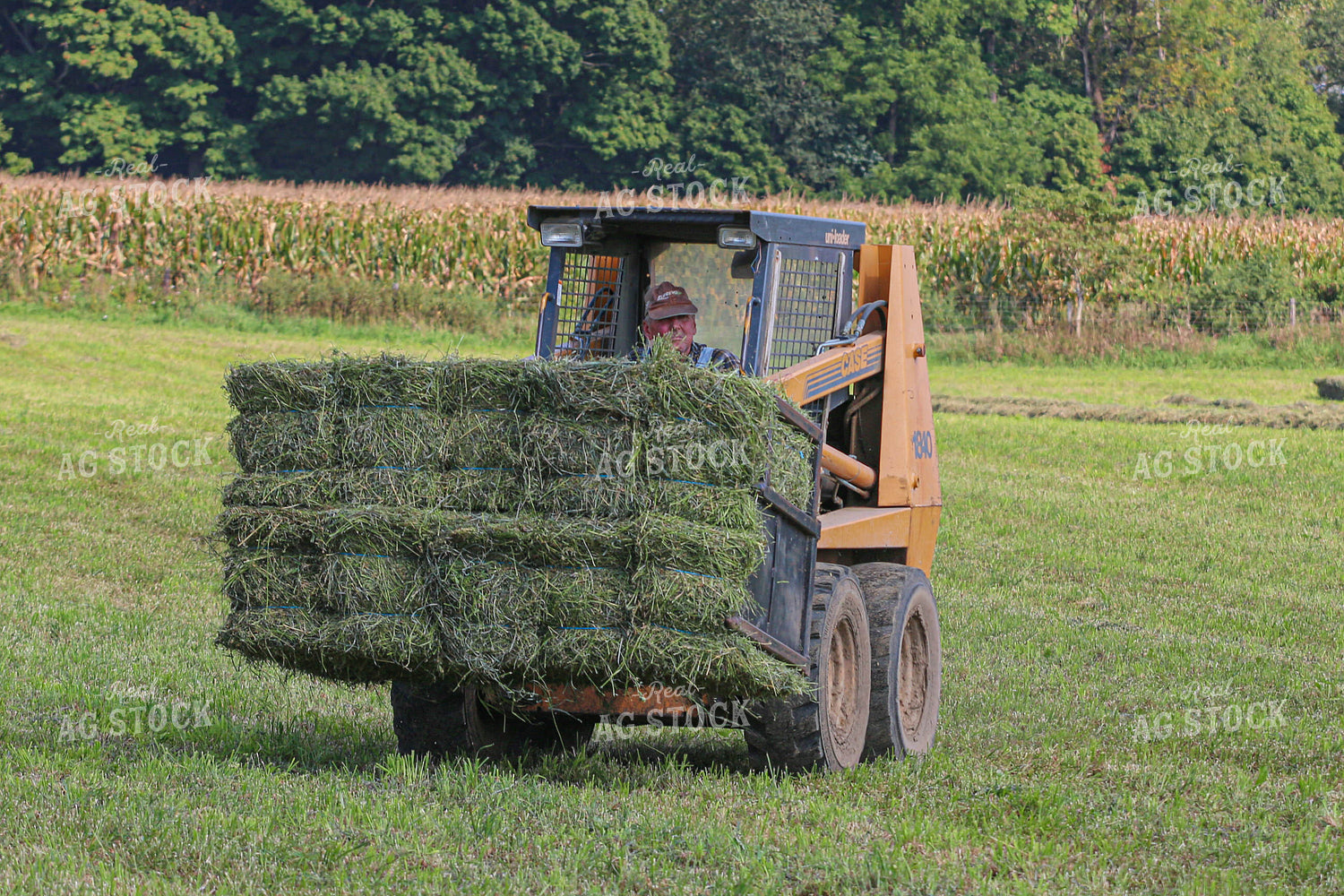 Harvesting Hay 160335