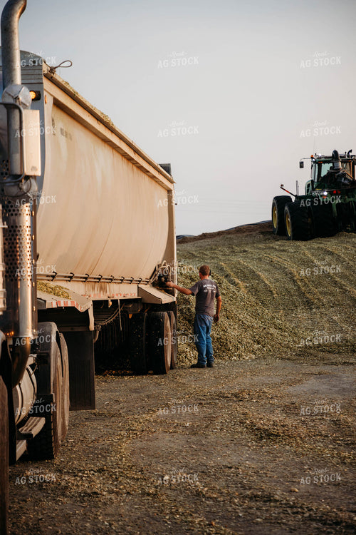 Dumping Silage 152048