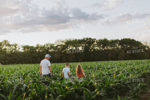 Farmer and Kids Checking Corn 8782