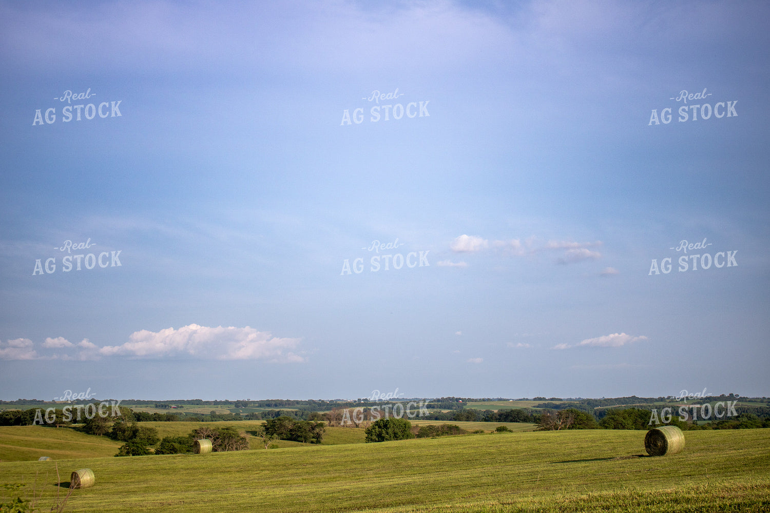 Scenic Hay Field 214240