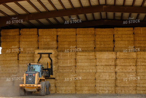 Loading Straw Bales 152325