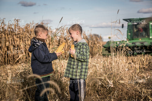 Farm Kids Playing with Ears of Corn 250081