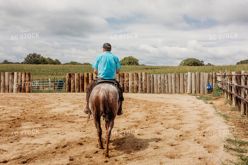 Rancher on Horseback 281006