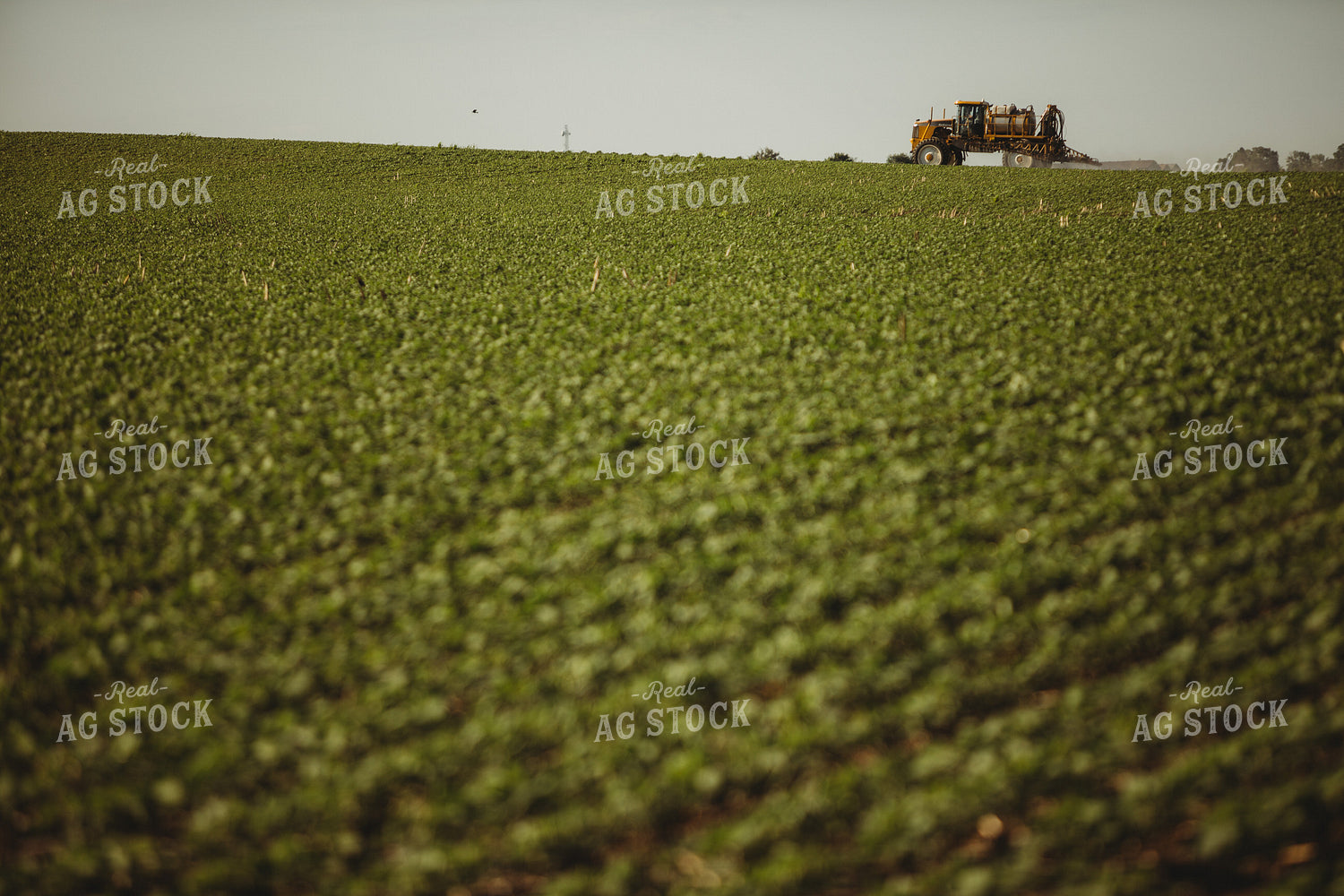 Spraying Soybeans 4342
