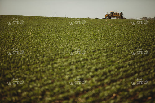 Spraying Soybeans 4342